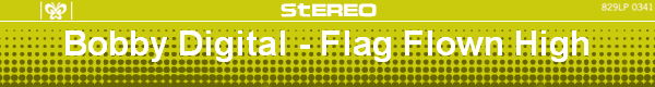 Bobby Digital - Flag Flown High