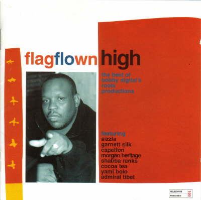 Bobby Digital - Flag Flown High